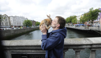 Picture Homeless Man Jumped into the River Liffey to Save Pet Rabbit