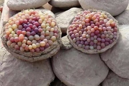Picture Kangina – Centuries Old Afghan Method of Preserving Fresh Grapes