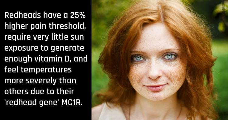 20 Interesting Facts About Redheads You Never Knew Before