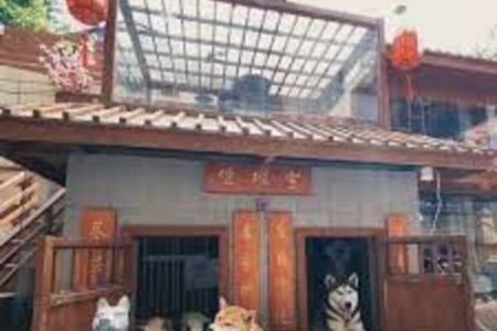 Picture Chinese Man Spent US$51,000 to Build Mini Dog Mansion