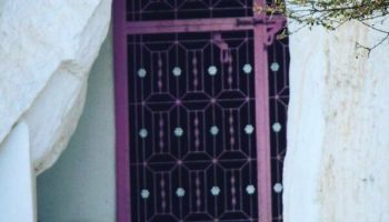 Picture Bera – A Small Town in India Where Human Coexist with Leopards