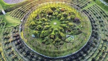 Picture The Lavender Labyrinth in Shelby Can Be Seen from Space