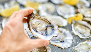 Picture Oysters were Highly Popular in 19th Century New York