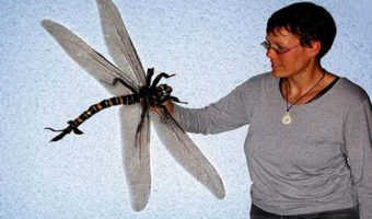 Picture 21 Biggest Things In the World