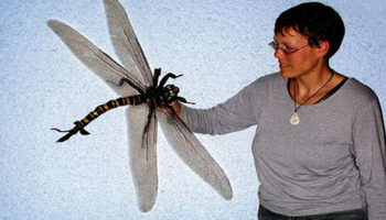 Picture 21 Biggest Things In the World