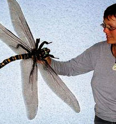 Picture 21 Biggest Things In the World