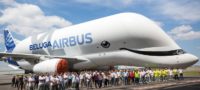 Picture The Airbus BelugaXL Is Probably the Cutest Whale-Shaped Plane Ever