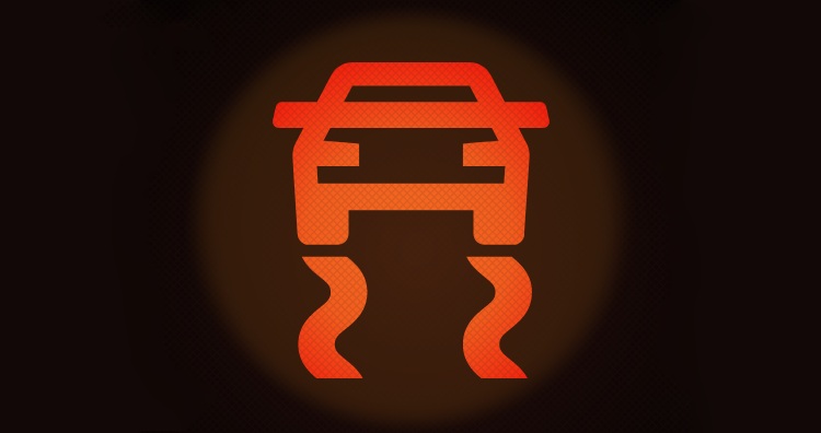 Traction control light