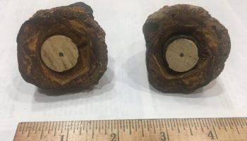 Picture The Coso Artifact – A Spark Plug Encased in Ancient Geode