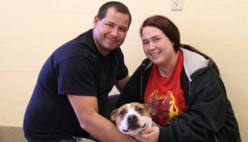 Picture Reckless the Dog is Reunited with Family after Being Lost