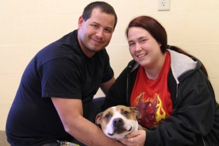 Picture Reckless the Dog is Reunited with Family after Being Lost