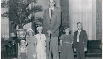 Picture Robert Wadlow – The Tallest Person in Recorded History