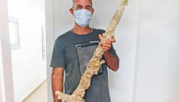Picture Man Discovers 900-Year-Old Crusader Sword in Northern Israel