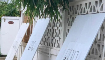 Picture Stand for Strays in Thailand Has Created Shelter for Strays