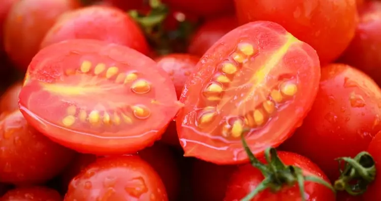 Tomato seeds