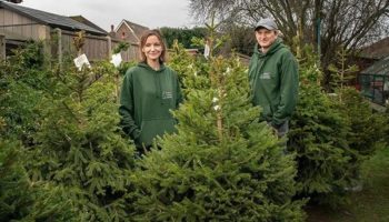 Picture This London Company Allows Customers To Rent A Christmas Tree