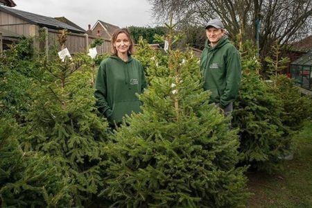 Picture This London Company Allows Customers To Rent A Christmas Tree