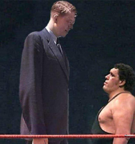 Picture The Story of the Gentleman Giant: The Tallest Person to Have Ever Lived