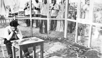 Picture An Indian Man Once Spent 72 Hours In A Glass Cabin With 72 Snakes