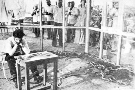 Picture An Indian Man Once Spent 72 Hours In A Glass Cabin With 72 Snakes