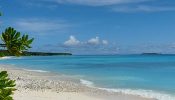 Picture A Man Washed Up On An Island Where His Uncle Had A Family