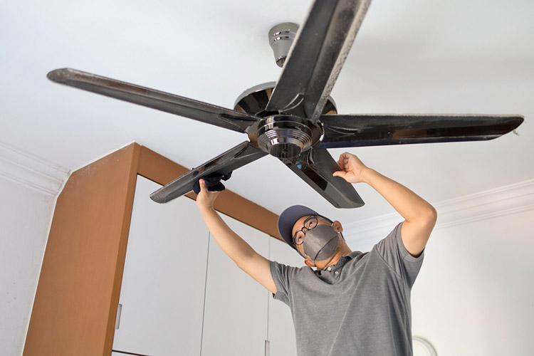 Fan blades collect dust
