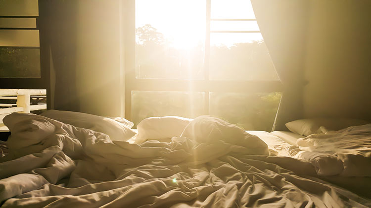 Morning bed sunlight
