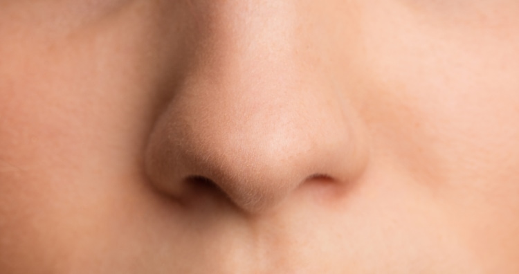 Nose Closeup