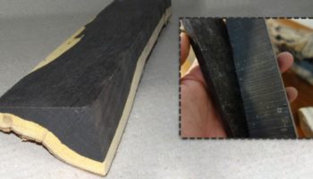 Picture African Blackwood, One of the Most Expensive Woods in the World