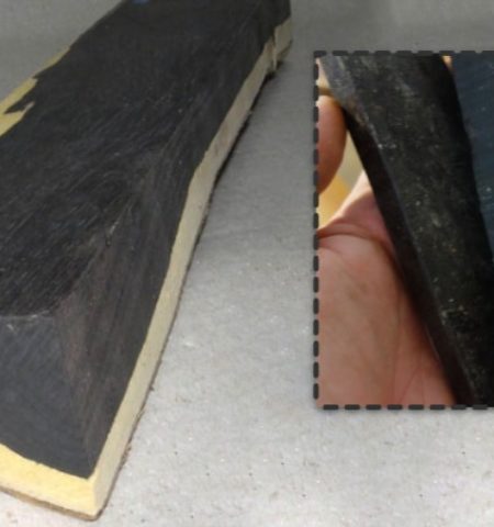 Picture African Blackwood, One of the Most Expensive Woods in the World