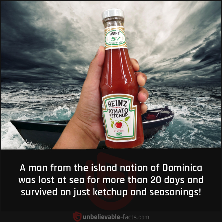 Man Lost at Sea Survived on Ketchup