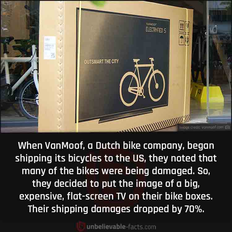 A Dutch Bike Company Put the Image of a TV on its Shipping Box 