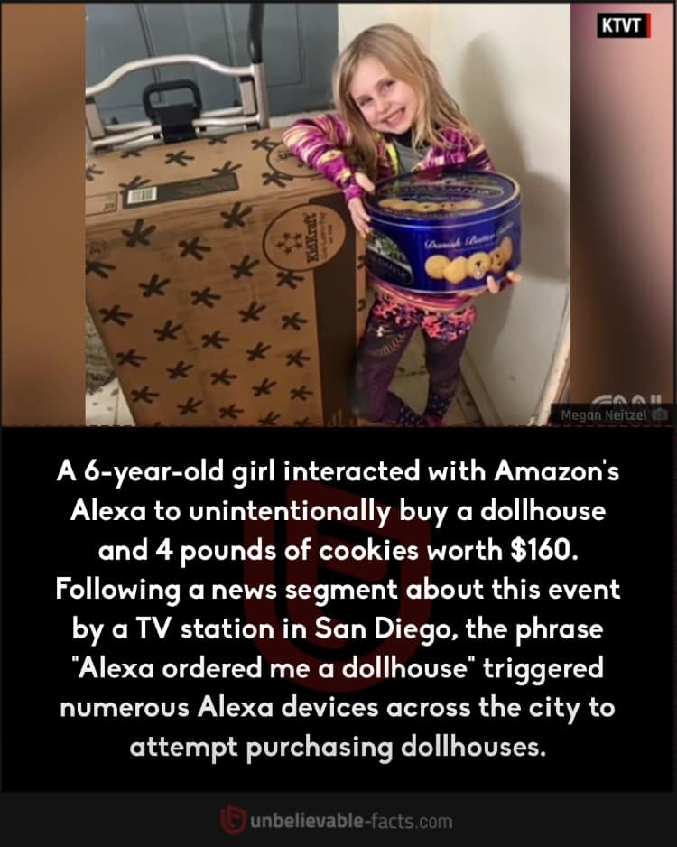 Alexa Orders Dollhouse 