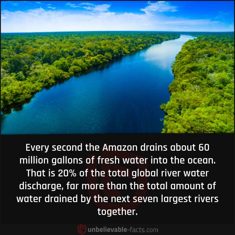 Amazon Drains About 60 Million Gallons Of Water