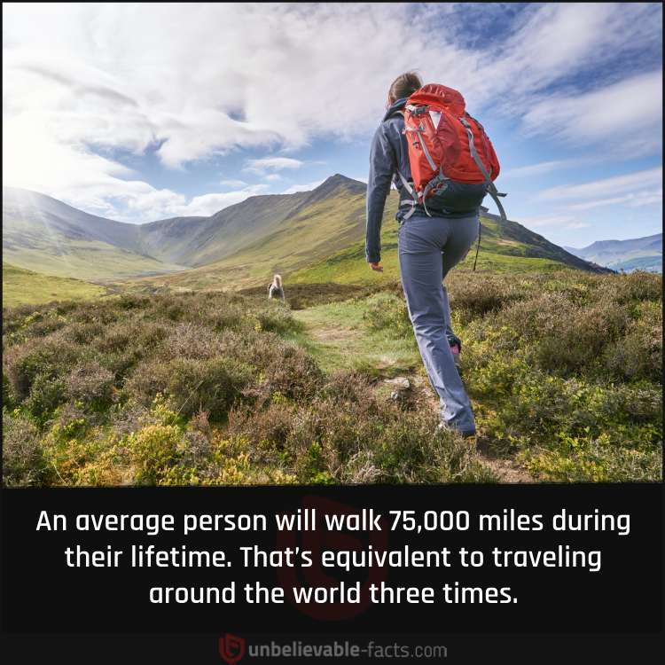 An Average Person’s Walking Distance