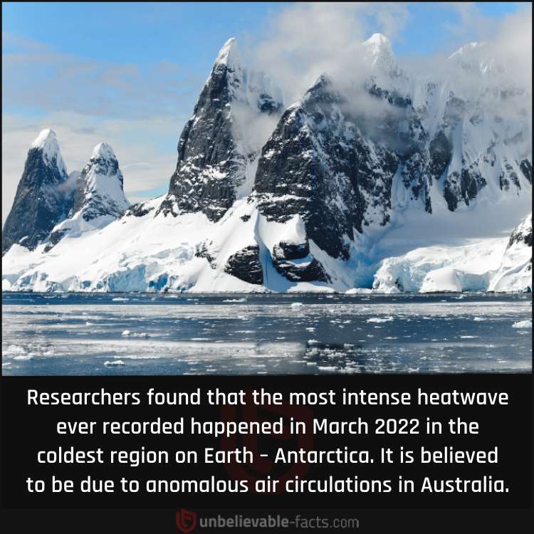 Most Intense Heat Wave in Antarctica
