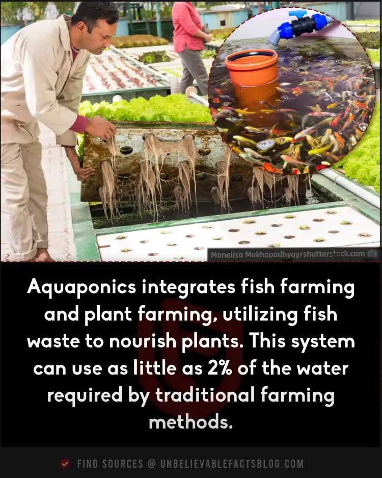 Aquaponics