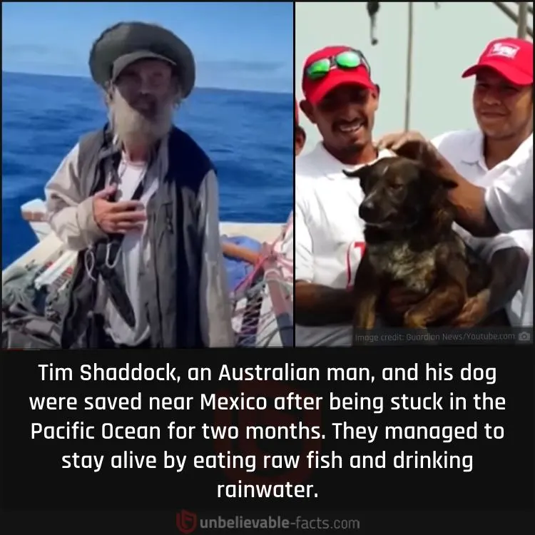 Australian Man and his Dog Rescued After Two Months