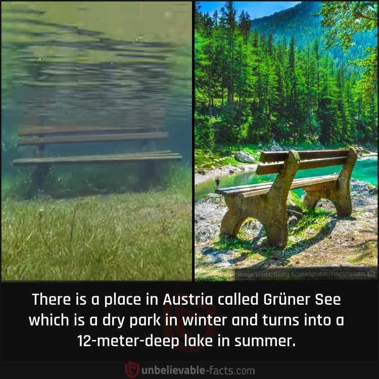 Austria’s Park that Turns into a Lake