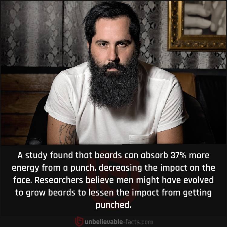 Beards Lessen Impact From Punches