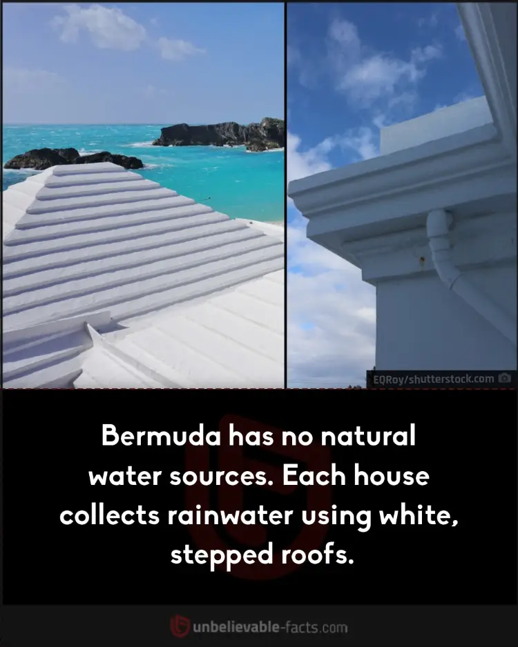 Bermuda have white stepped roofs