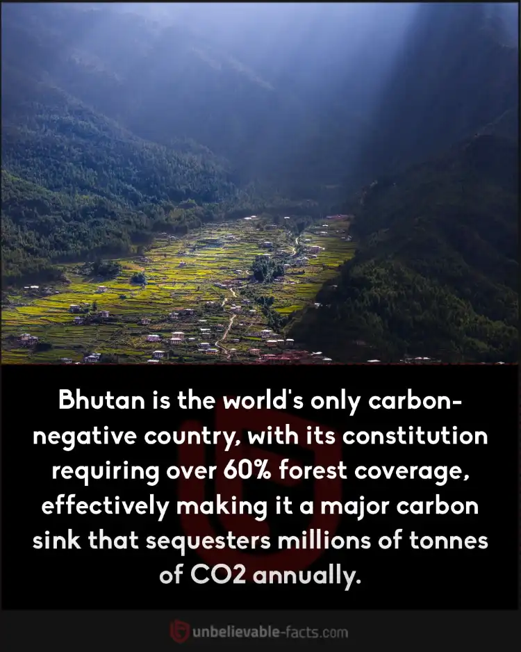 Bhutan is the world's only carbon-negative country