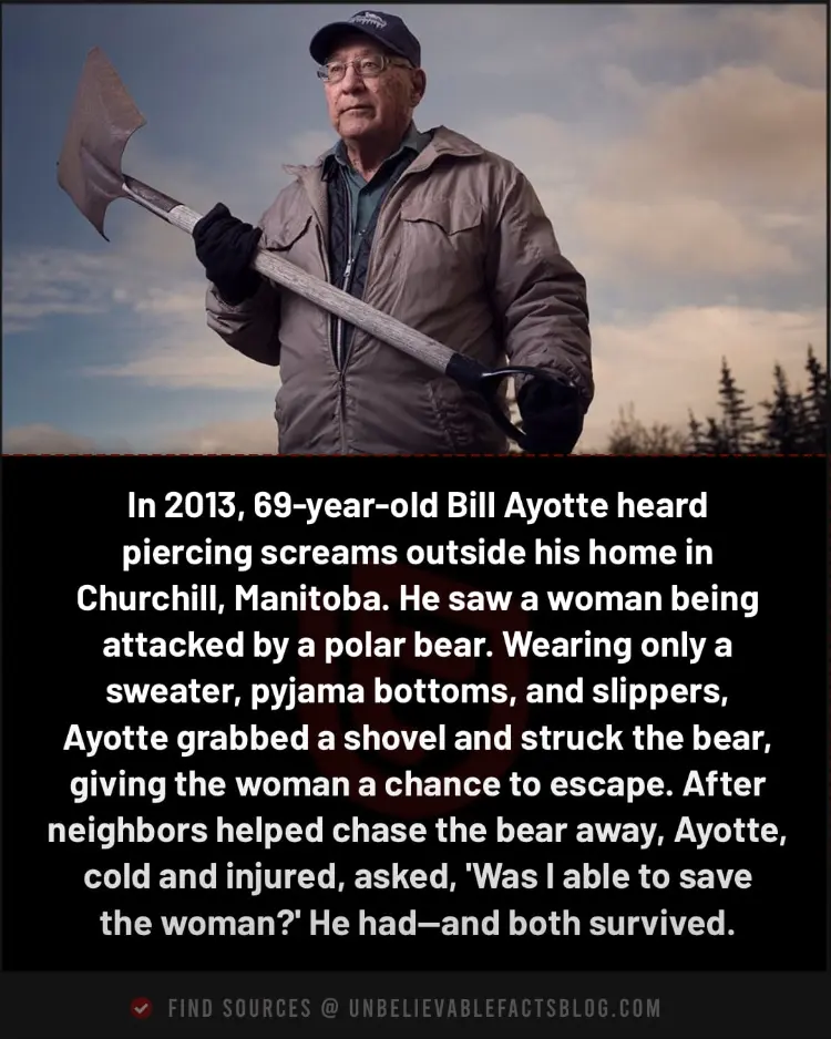 Bill Ayotte saved woman from polar bear attack with shovel.