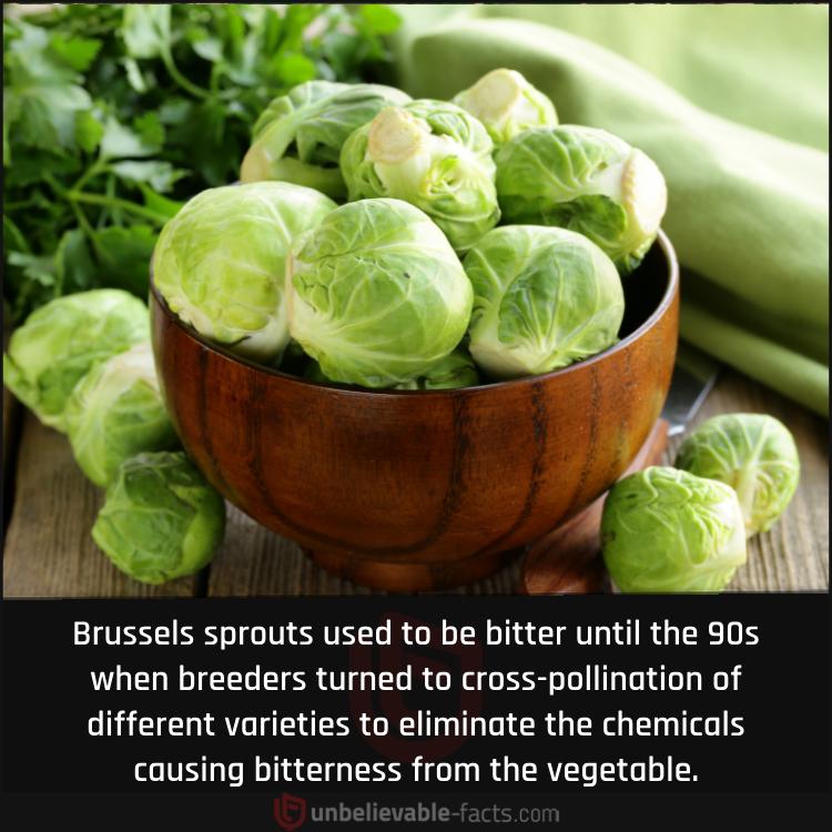 Bitter Brussels Sprouts