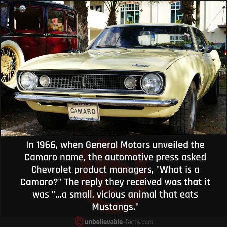 How General Motors Unveiled the Camaro