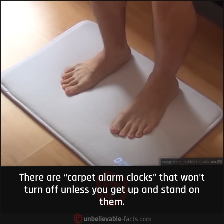 Carpet Alarm Clocks to Turn You into an Early Bird