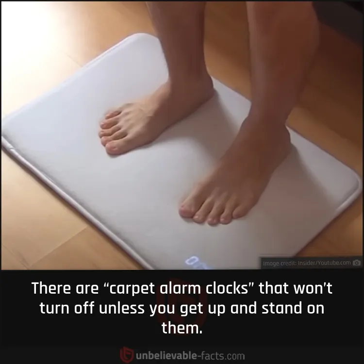 Carpet Alarm Clocks to Turn You into an Early Bird Carpet Alarm Clocks to Turn You into an Early Bird