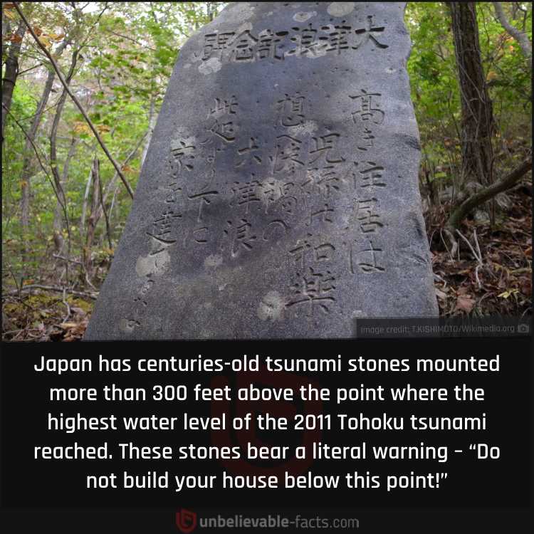 701 Interesting Facts To Share With Your Friends