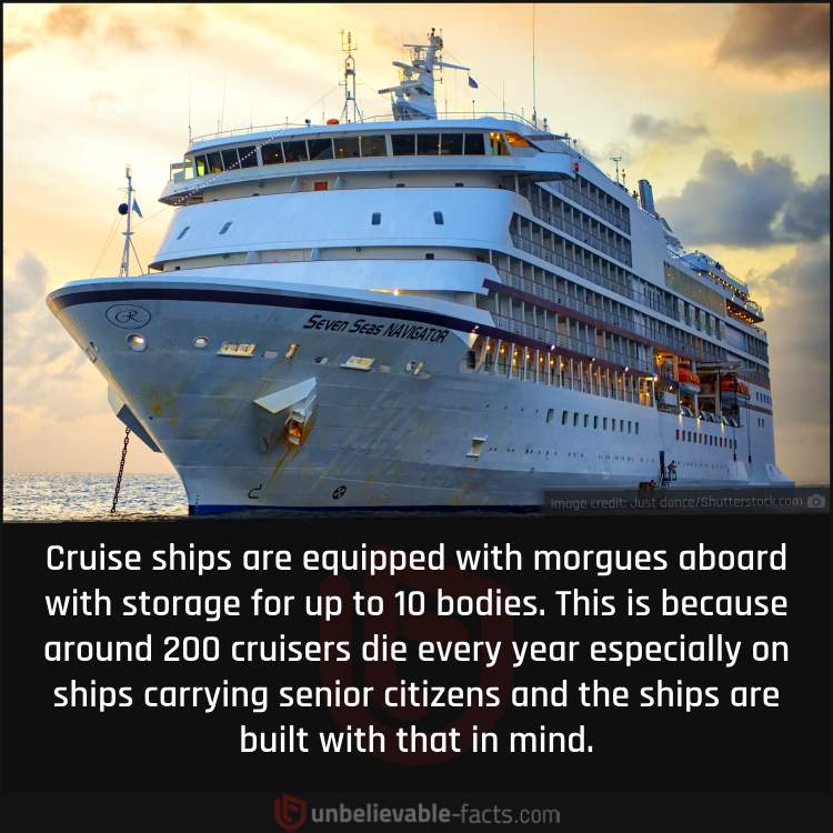 Cruise Ships Have Morgues Built In