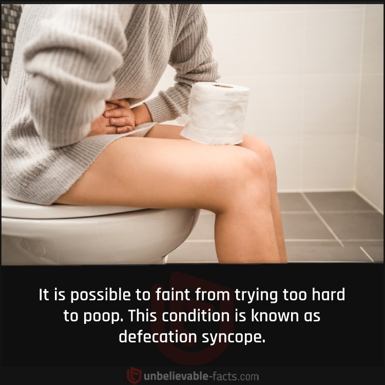 Defecation Syncope
